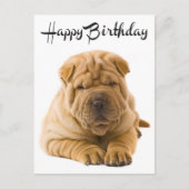 Carte Postale Joyeux Anniversaire Chinois Shar Pei Chien Chien C (Devant)