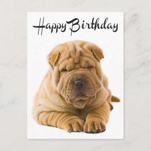 Carte Postale Joyeux Anniversaire Chinois Shar Pei Chien Chien C (Devant)