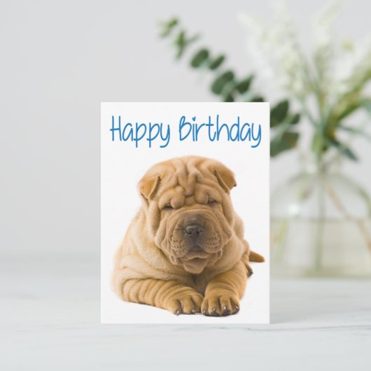 Carte Postale Joyeux Anniversaire Chinois Shar Pei Chien Chien C (Debout devant)