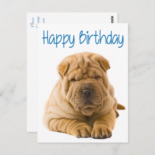 Carte Postale Joyeux Anniversaire Chinois Shar Pei Chien Chien C (Devant / Derrière)