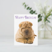 Carte Postale Joyeux Anniversaire Chinois Shar Pei Chien Chien C (Debout devant)