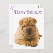 Carte Postale Joyeux Anniversaire Chinois Shar Pei Chien Chien C (Devant / Derrière)