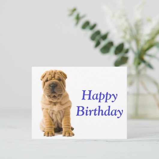 Carte Postale Joyeux Anniversaire Chinois Shar Pei Chien Chien C (Debout devant)
