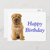 Carte Postale Joyeux Anniversaire Chinois Shar Pei Chien Chien C (Devant / Derrière)