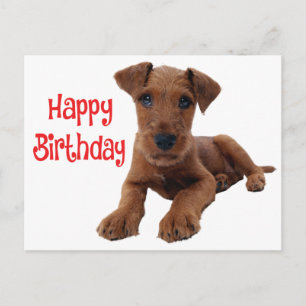 Carte Postale Joyeux Anniversaire Chiot Airedale Terrier Mignon