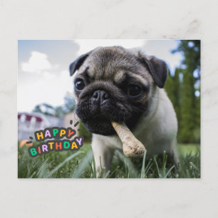 Carte Postale Joyeux Anniversaire Chiot Mignon avec l'Os