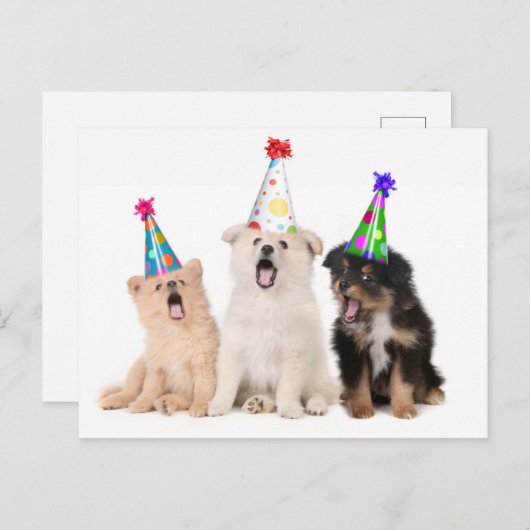 Carte Postale Joyeux anniversaire chiots (Devant / Derrière)