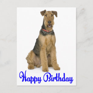 Carte Postale Joyeux Anniversaire Chiots Airedale Terrier Chien