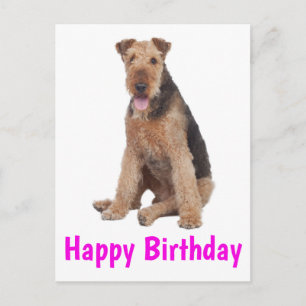 Carte Postale Joyeux Anniversaire Chiots Airedale Terrier Chien