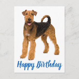 Carte Postale Joyeux Anniversaire Chiots Airedale Terrier Chien