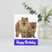 Carte postale Joyeux Anniversaire Chow Chow Chien  (Debout devant)