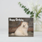 Carte postale Joyeux Anniversaire Chow Chow Chien  (Debout devant)