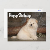 Carte postale Joyeux Anniversaire Chow Chow Chien  (Devant / Derrière)