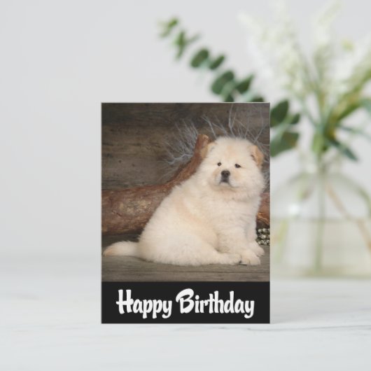 Carte Postale Joyeux Anniversaire Chow Chow Chien Chien Chien No (Debout devant)