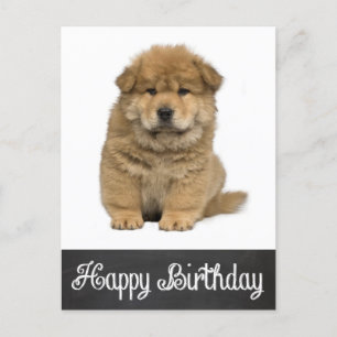 Carte postale Joyeux Anniversaire Chow Chow Chow P