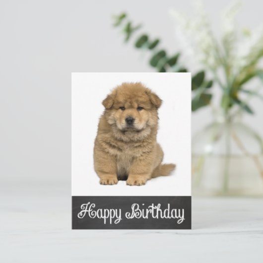 Carte postale Joyeux Anniversaire Chow Chow Chow P (Debout devant)