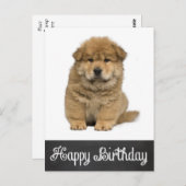 Carte postale Joyeux Anniversaire Chow Chow Chow P (Devant / Derrière)
