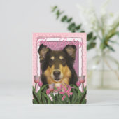 Carte Postale Joyeux anniversaire - Collie - Caroline (Debout devant)