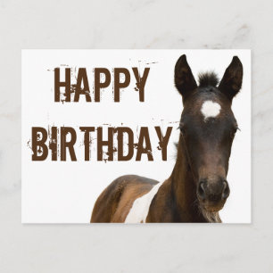 Carte Postale Joyeux Anniversaire Colt Horse