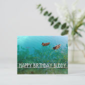 Carte Postale joyeux anniversaire copain (deux canards) (Debout devant)