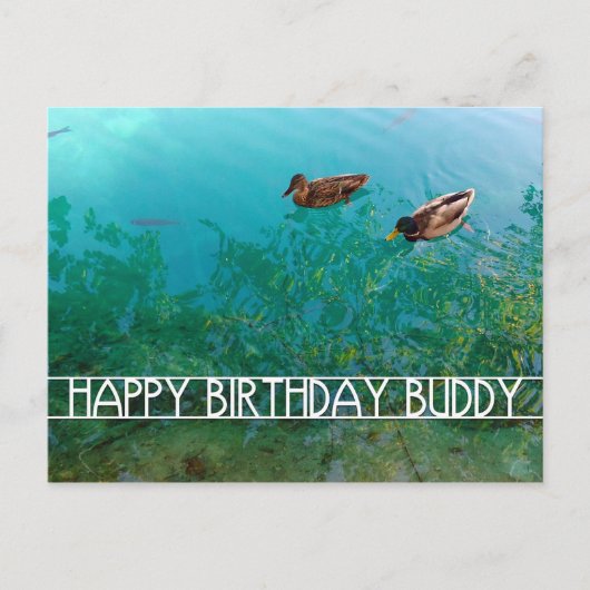 Carte Postale joyeux anniversaire copain (deux canards) (Devant)