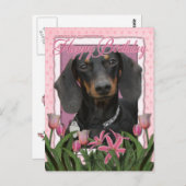 Carte Postale Joyeux anniversaire - Dachshund - Winston (Devant / Derrière)