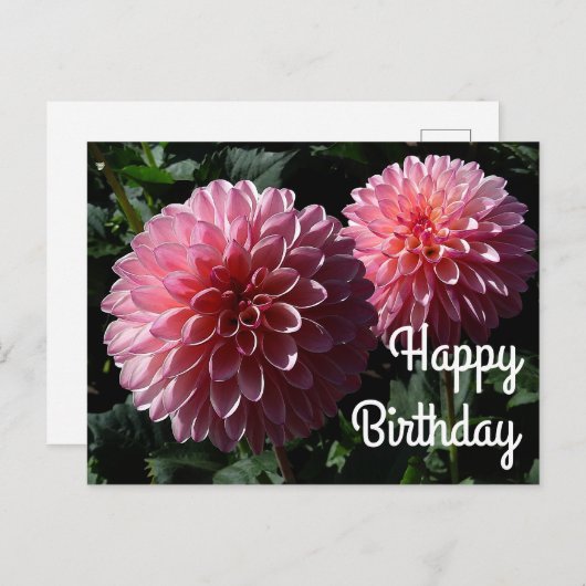 Carte postale Joyeux Anniversaire Dahlia Valley Po (Devant / Derrière)