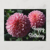 Carte postale Joyeux Anniversaire Dahlia Valley Po (Devant)