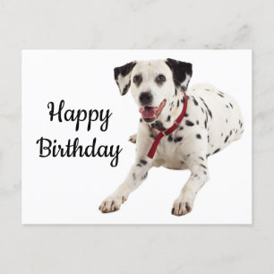 Carte Postale Joyeux anniversaire Dalmatien Amoureux des chiens