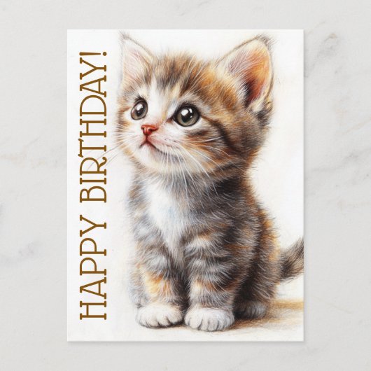 Carte Postale Joyeux Anniversaire, Dame aux chats, Adulte aux ch (Devant)