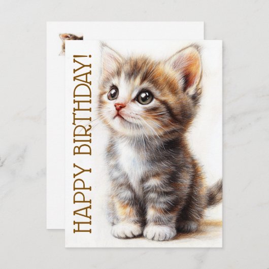 Carte Postale Joyeux Anniversaire, Dame aux Chats, Amoureuse des (Devant / Derrière)
