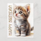 Carte Postale Joyeux Anniversaire, Dame aux Chats, Amoureuse des (Devant)