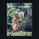 Carte Postale Joyeux anniversaire de Deez Nuts Funny Squirrel Ph<br><div class="desc">Joyeux anniversaire de DEEZ NUTS ! Un écureuil hilarant joue avec des mots qui plaisantent sur ses noix. Humour brut sur la carte postale d'anniversaire pour adulte. Faites rire vos amis avec cette citation pop culture.</div>