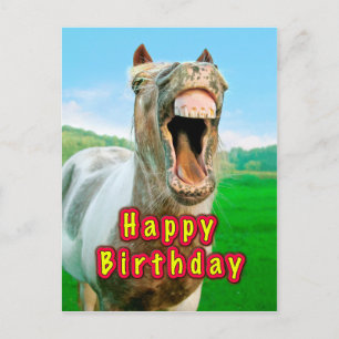 Carte Postale Joyeux anniversaire de la Happy horse