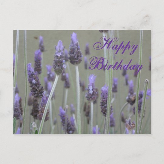 Carte Postale Joyeux Anniversaire De Lavande Zazzle Be