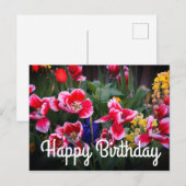 Carte postale Joyeux Anniversaire des Tulipes roug (Devant / Derrière)