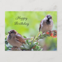 Joyeux Anniversaire Deux Oiseaux Moineaux Mignons