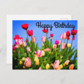 Carte postale Joyeux Anniversaire Divers Tulipes # (Devant / Derrière)