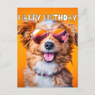Carte Postale Joyeux Anniversaire Drôle Animal de Fête
