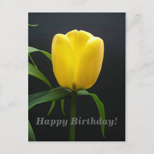 Carte Postale joyeux anniversaire fleur de tulipe jaune