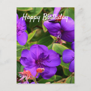 Carte Postale Joyeux anniversaire : Fleurs pourpres Tibouchina