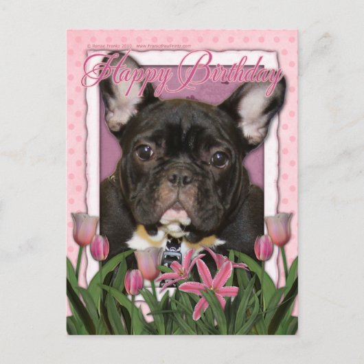 Carte Postale Joyeux anniversaire - French Bulldog - Turquoise (Devant)