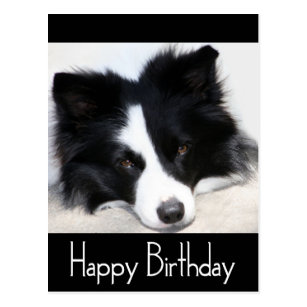 Cartes Chiot D D Anniversaire Zazzle Be