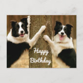 Carte Postale Joyeux anniversaire frontière Collie Chien Chien C (Devant)