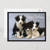 Carte Postale Joyeux Anniversaire Frontière Collie Chien Chien C (Devant / Derrière)