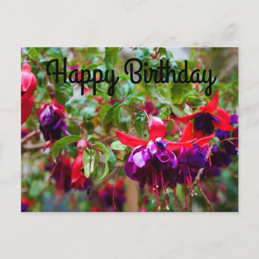 Carte postale Joyeux Anniversaire Fuchsia rouge et (Devant)