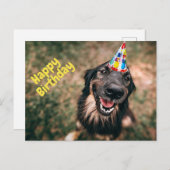 Carte Postale Joyeux anniversaire Funny Chien dans le Casquette  (Devant / Derrière)