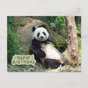 Carte Postale Joyeux anniversaire Giant Panda Bear