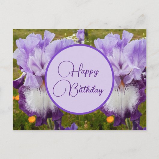 Carte Postale Joyeux Anniversaire Iris floral dames Carte-Postal (Devant)