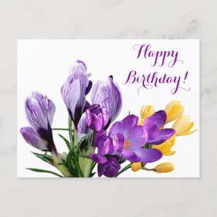 Carte Postale Joyeux Anniversaire joli crocus jaune violet fleur